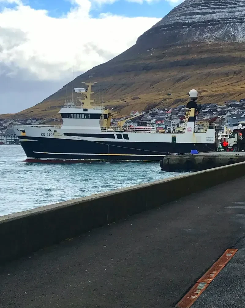 STJOERNAN General Cargo IMO 9295799