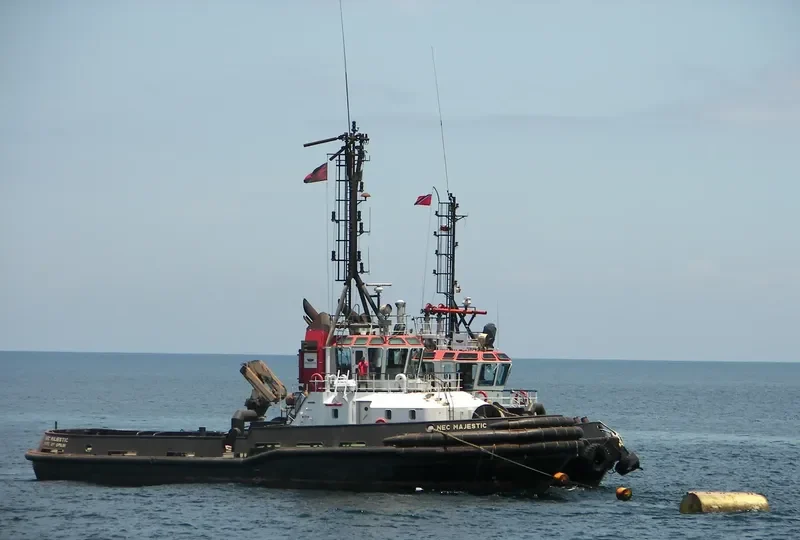 NEC MAJESTIC General Cargo IMO 9295828 photo 5