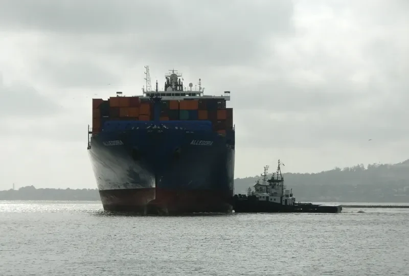 ALLEGORIA Container Ship IMO 9295945 photo 2