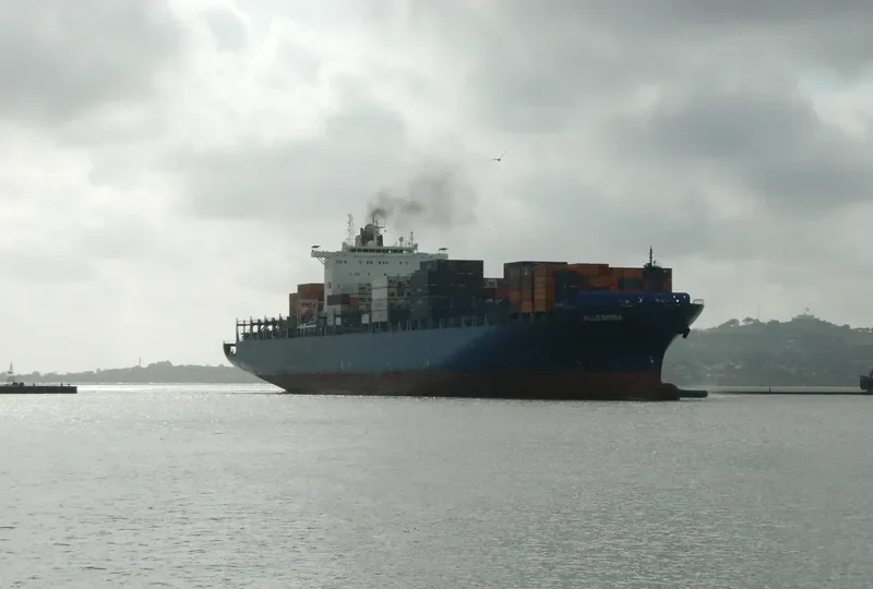 ALLEGORIA Container Ship IMO 9295945 photo 3