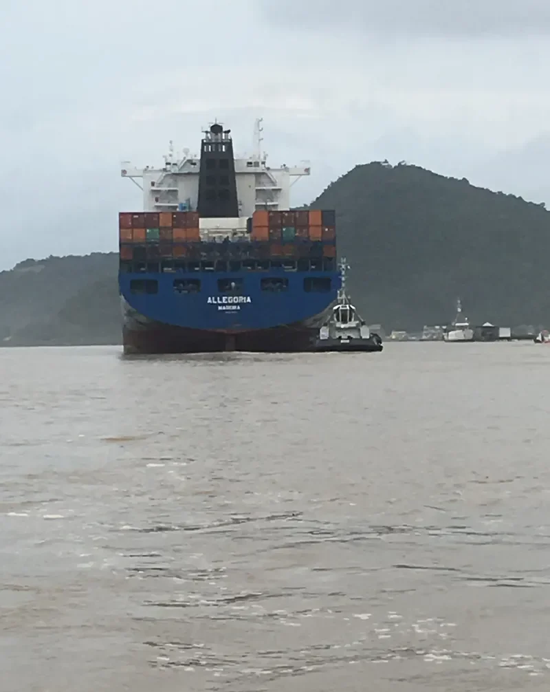 ALLEGORIA Container Ship IMO 9295945 photo 4