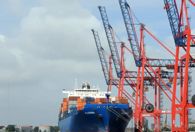 ALLEGORIA Container Ship IMO 9295945 photo 9