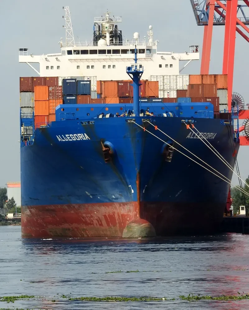 ALLEGORIA Container Ship IMO 9295945 photo 10