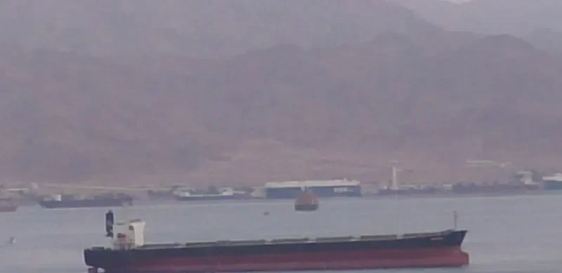 MEGALOHARI Bulk Carrier IMO 9296066 photo 4