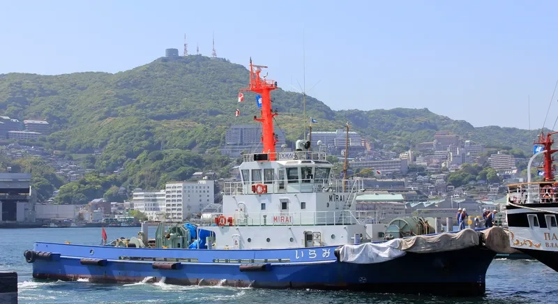 MIRAI General Cargo IMO 9296078 photo 4