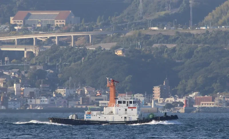SHINKO MARU General Cargo IMO 9296080 photo 4