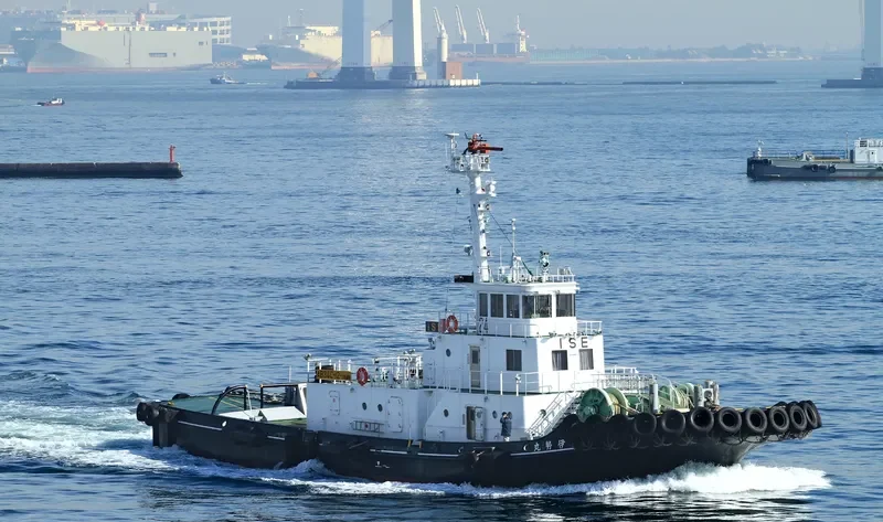 MICHINOKU General Cargo IMO 9296092 photo 5
