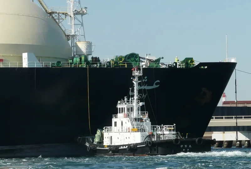 MICHINOKU General Cargo IMO 9296092 photo 10