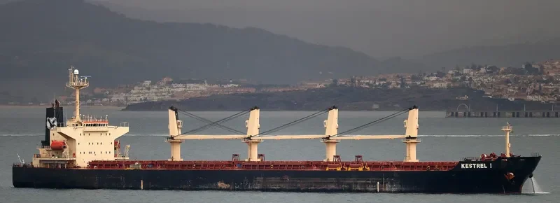 DA HONG 16 Bulk Carrier IMO 9296157 photo 3