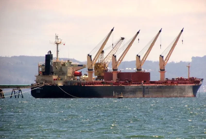 DA HONG 16 Bulk Carrier IMO 9296157 photo 4
