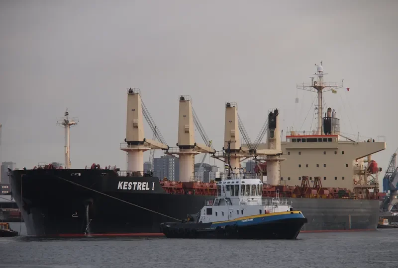 DA HONG 16 Bulk Carrier IMO 9296157 photo 5