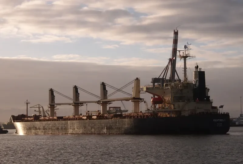 DA HONG 16 Bulk Carrier IMO 9296157 photo 6