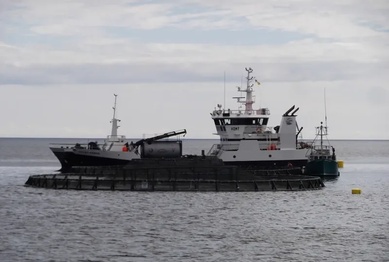 COLBY PERCE General Cargo IMO 9296169 photo 4