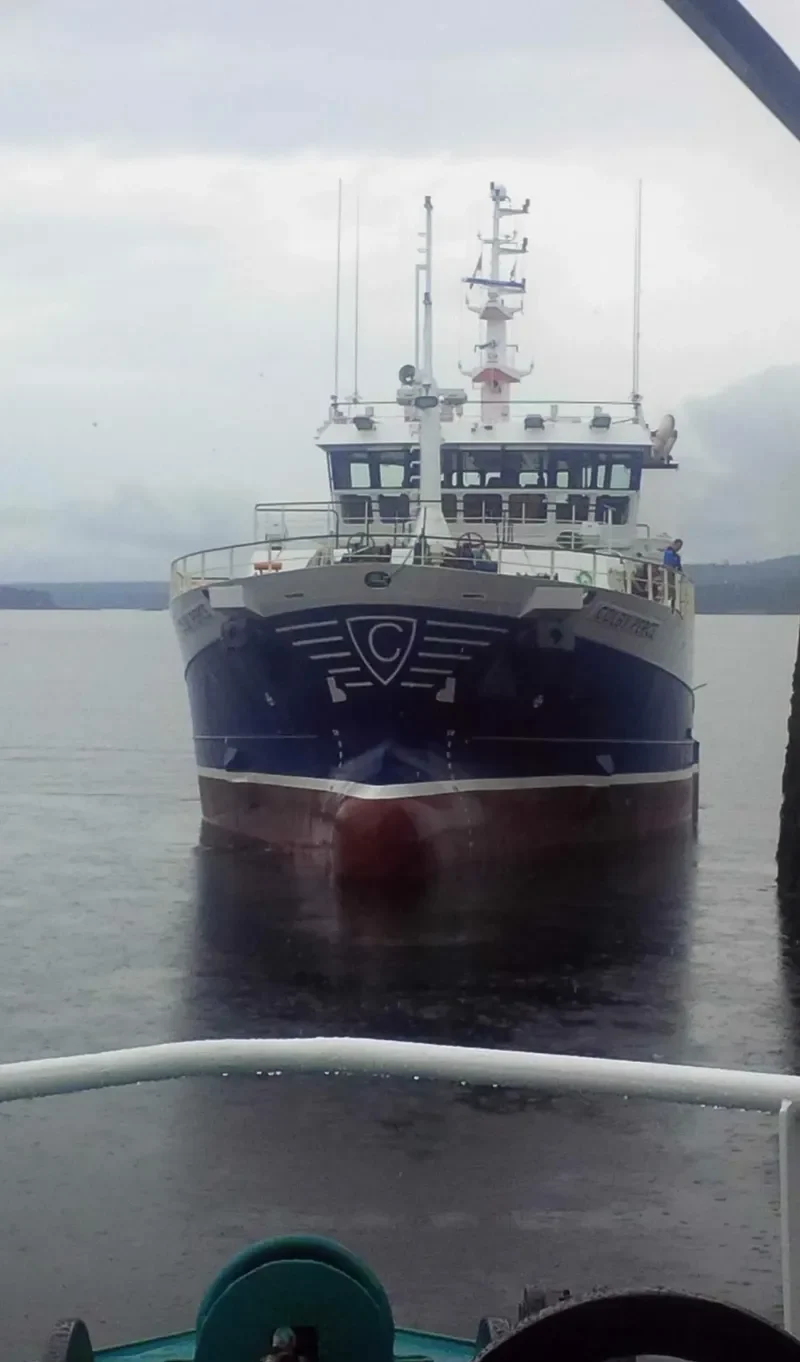 COLBY PERCE General Cargo IMO 9296169 photo 9
