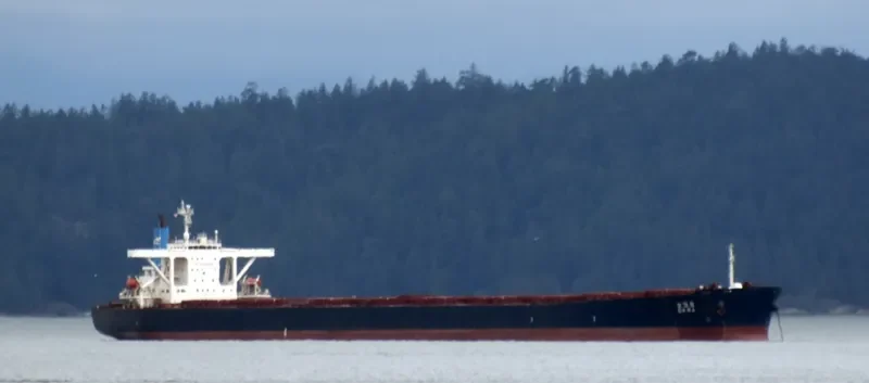 STAR PRINCESS Bulk Carrier IMO 9296200 photo 2