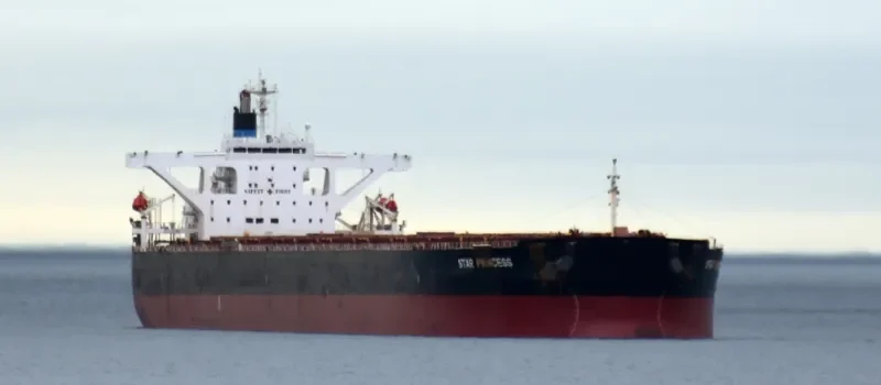 STAR PRINCESS Bulk Carrier IMO 9296200 photo 3