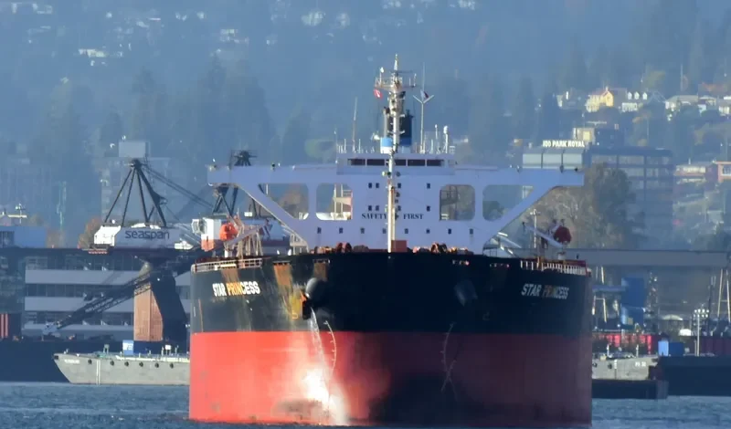 STAR PRINCESS Bulk Carrier IMO 9296200 photo 4
