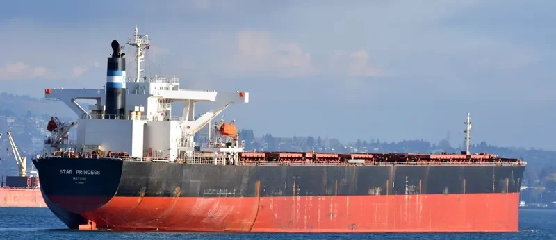 STAR PRINCESS Bulk Carrier IMO 9296200 photo 6