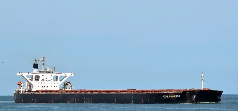 STAR PRINCESS Bulk Carrier IMO 9296200 photo 8