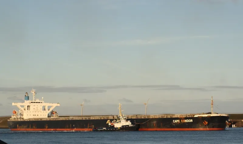 MOUNT OPHIR Bulk Carrier IMO 9296212 photo 3