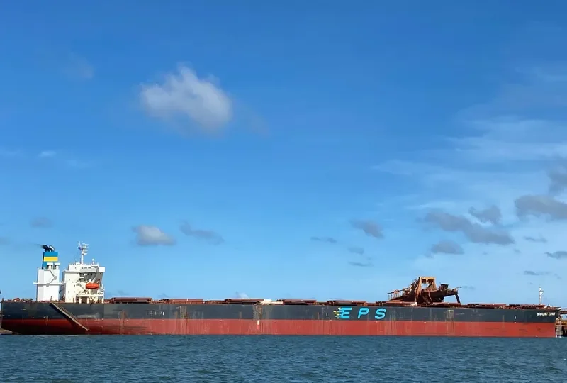 MOUNT OPHIR Bulk Carrier IMO 9296212 photo 7