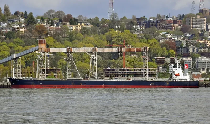 GLYKOFILOUSSA Bulk Carrier IMO 9296236 photo 4