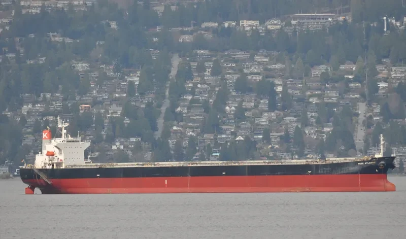 GLYKOFILOUSSA Bulk Carrier IMO 9296236 photo 7
