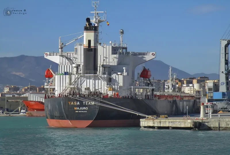 YASA TEAM Bulk Carrier IMO 9296250 photo 2