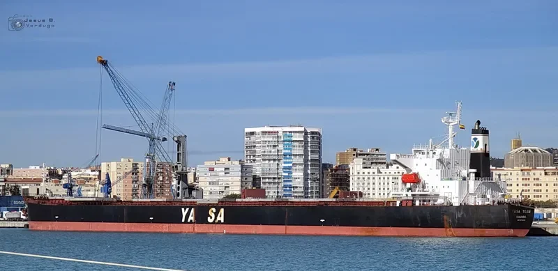 YASA TEAM Bulk Carrier IMO 9296250 photo 3