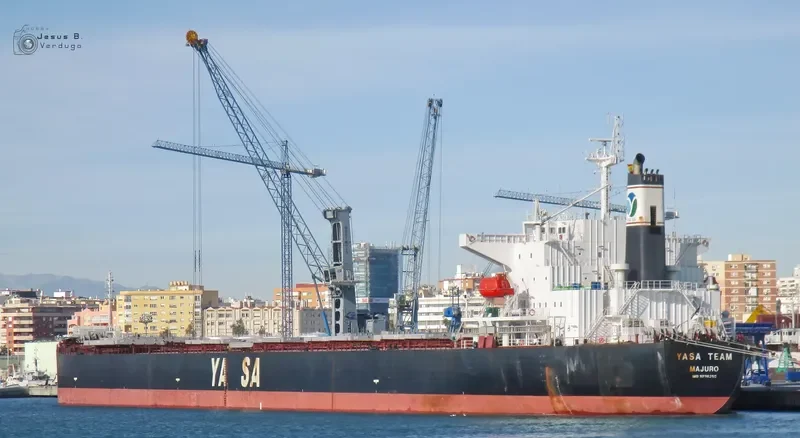 YASA TEAM Bulk Carrier IMO 9296250 photo 4