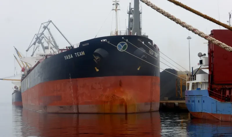 YASA TEAM Bulk Carrier IMO 9296250 photo 5