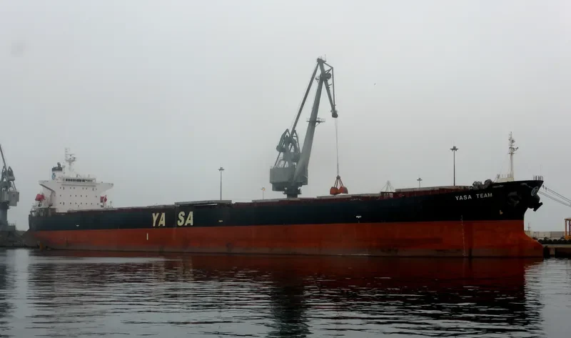 YASA TEAM Bulk Carrier IMO 9296250 photo 6