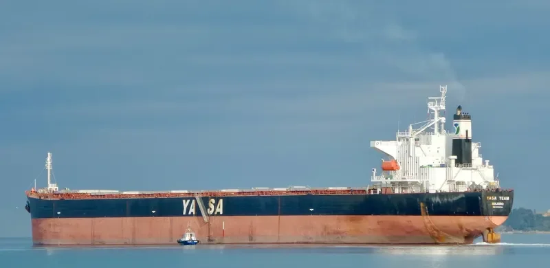 YASA TEAM Bulk Carrier IMO 9296250 photo 7