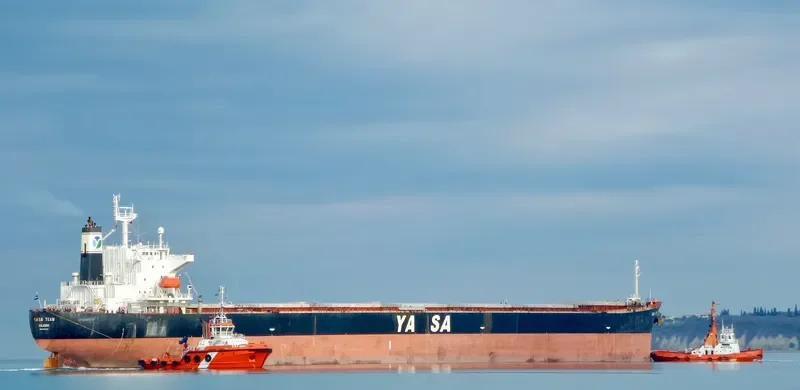YASA TEAM Bulk Carrier IMO 9296250 photo 8