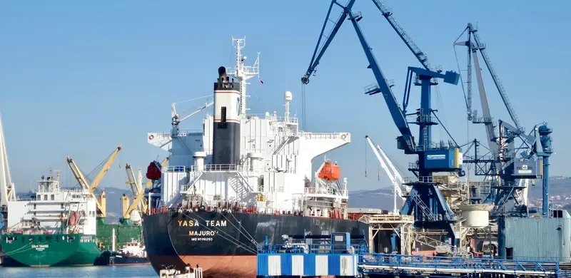 YASA TEAM Bulk Carrier IMO 9296250 photo 9