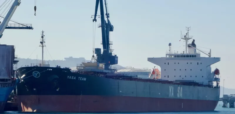 YASA TEAM Bulk Carrier IMO 9296250 photo 10