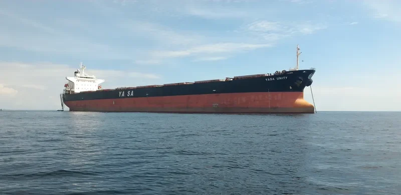 YASA UNITY Bulk Carrier IMO 9296262 photo 3
