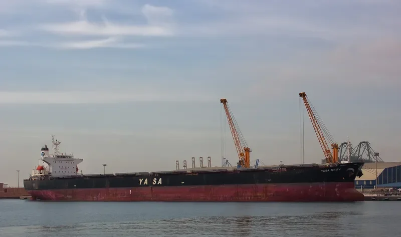 YASA UNITY Bulk Carrier IMO 9296262 photo 5