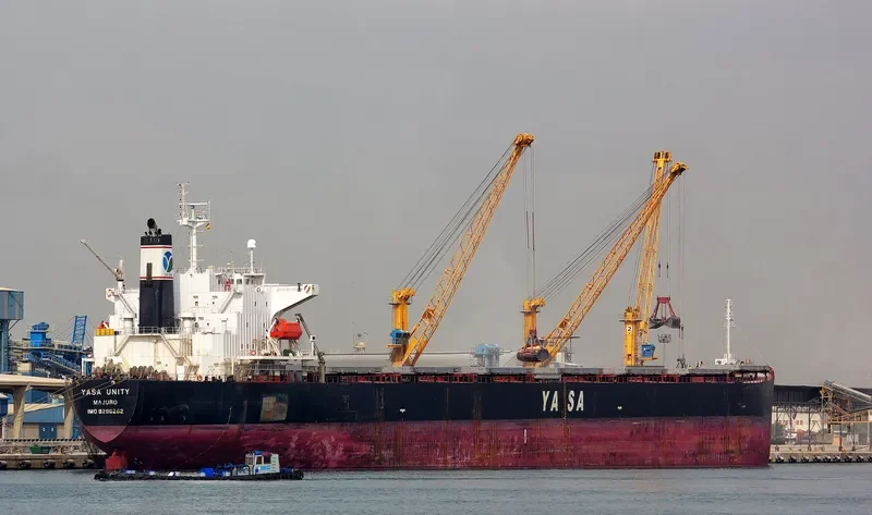 YASA UNITY Bulk Carrier IMO 9296262 photo 6
