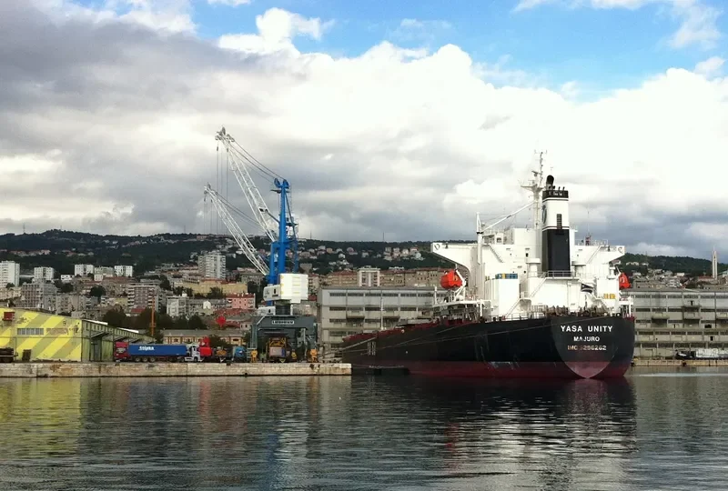 YASA UNITY Bulk Carrier IMO 9296262 photo 7