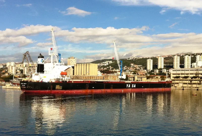 YASA UNITY Bulk Carrier IMO 9296262 photo 8