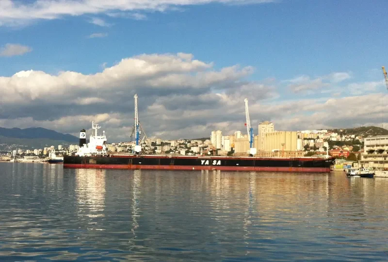 YASA UNITY Bulk Carrier IMO 9296262 photo 9