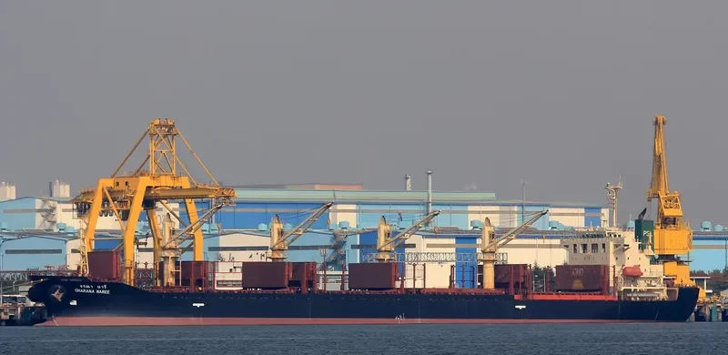 CHARANA NAREE Bulk Carrier IMO 9296303 photo 3