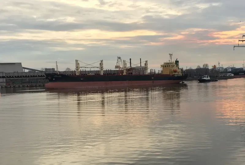 CHARANA NAREE Bulk Carrier IMO 9296303 photo 4