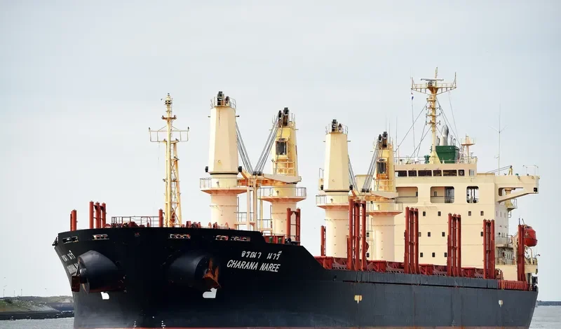 CHARANA NAREE Bulk Carrier IMO 9296303 photo 5