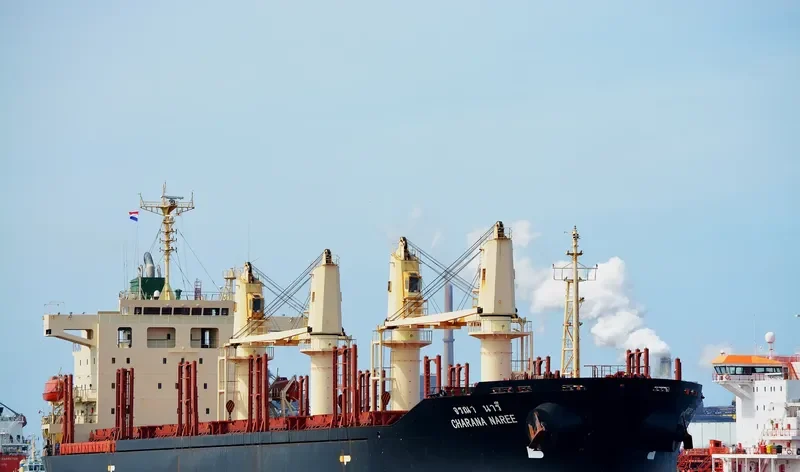 CHARANA NAREE Bulk Carrier IMO 9296303 photo 6