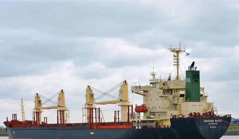 CHARANA NAREE Bulk Carrier IMO 9296303 photo 7