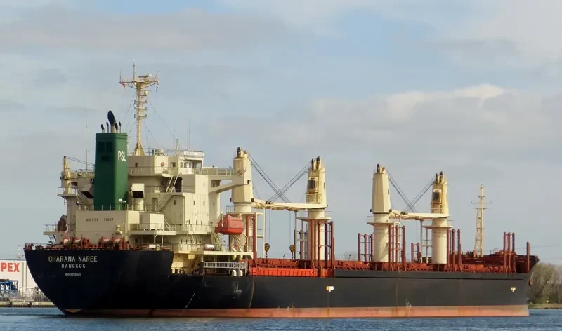 CHARANA NAREE Bulk Carrier IMO 9296303 photo 9