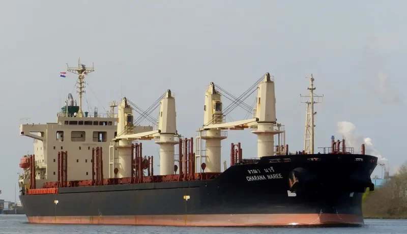 CHARANA NAREE Bulk Carrier IMO 9296303 photo 10