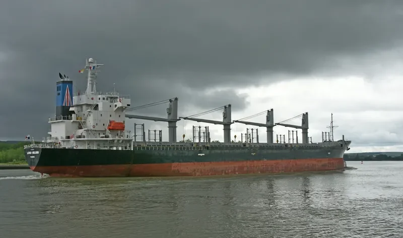 LORD NELSON Bulk Carrier IMO 9296315 photo 3